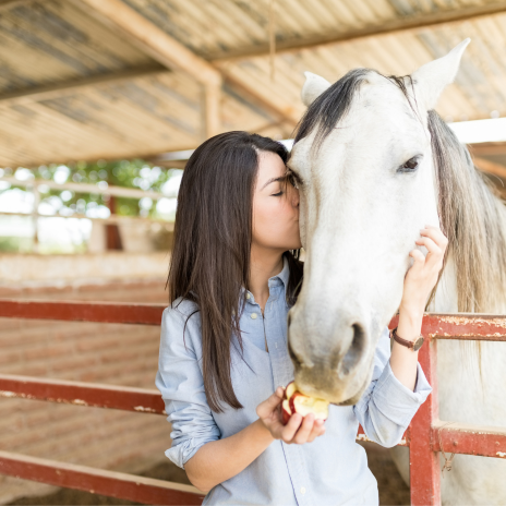 Image of Sea Recovery’s outdoor space — mental health treatment in Marbella, near Spain, showcasing personalised care and serene surroundings.