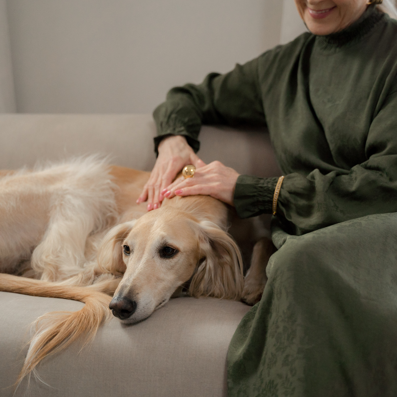 RECOVERY WITH YOUR PET BY YOUR SIDE